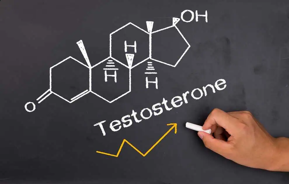 Testosterone Replacement Therapy In Tallahassee, FL by Pathway Wellness